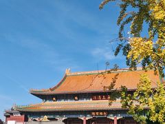 -天津大悲禅院