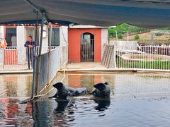 -渔岛海洋度假区