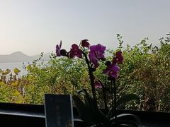 -湖畔居茶楼(湖滨店)