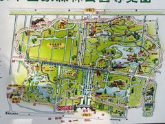 -东平国家森林公园