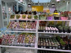 -KKV(天津津南吾悦广场店)