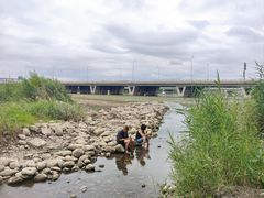 -绿堤公园