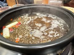 -滇野云南野生菌餐厅(陕西南路店)