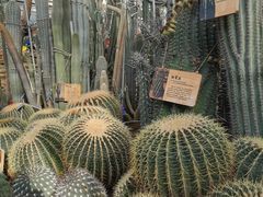 -国家植物园南园