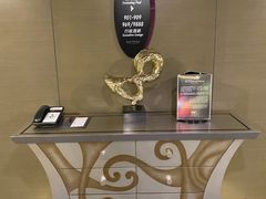 -南京禄口机场雅高铂尔曼大酒店