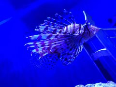 -太平洋海底世界