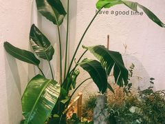 -如禾素食·下午茶·糖水