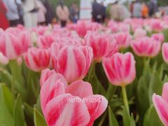 -厦门园林博览苑