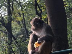 -黔灵山公园-南门售票处