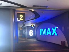 -万达影城(大明宫万达广场IMAX店)