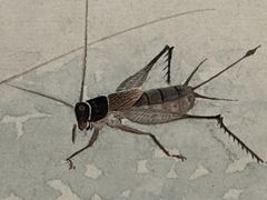 -镇江博物馆