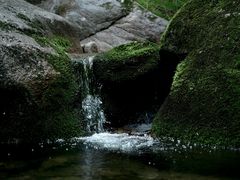 -王顺山国家森林公园