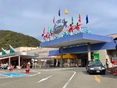 -海鮮寿司とれとれ市場