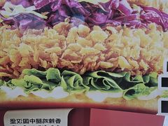 -塔斯汀中国汉堡(青浦宝龙广场店)