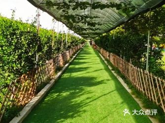 夏季溜娃选择室外的农场最不错了