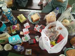 -合肥滨湖国家森林公园