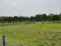-西青郊野公园