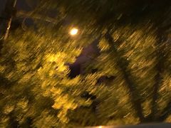 -兔途体检(十里堡青年路店)