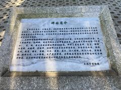 -总统兵马大元帅府
