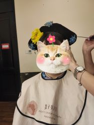 -盘子女人坊古装写真摄影(天津总店)