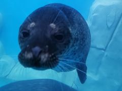 -多彩贵州城极地海洋世界