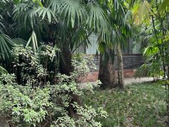 -成都杜甫草堂博物馆