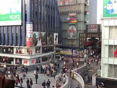 -蟹道乐(道顿堀本店)