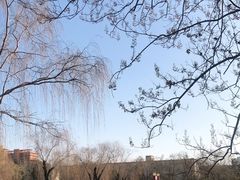 -丰台花园