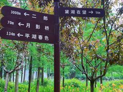 -重庆彩云湖湿地公园