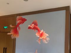 -长白山万达锦华套房酒店