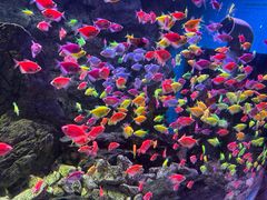 -威海华夏城景区