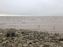 -南汇嘴观海公园