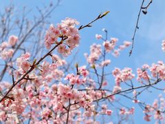 -白塘生态植物园