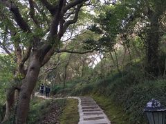 -平湖九龙山旅游度假区