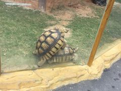 -灵玲国际马戏城
