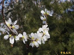 -三里河公园