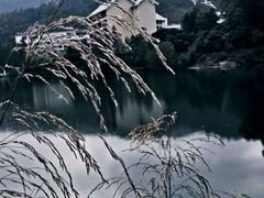 -江门古兜温泉小镇