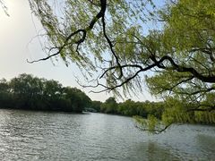-北陵公园