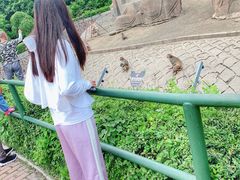 -哈尔滨北方森林动物园
