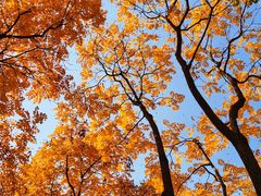 -大兴滨河森林公园