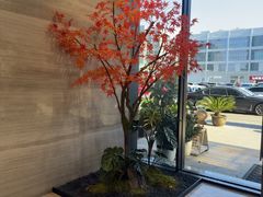 -唐宫足道·SPA·住宿24H会所(木渎店)