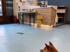 -萌兽医馆·犬猫专科·眼科中心·宠物医院(朝阳门分院)