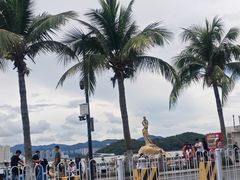 -野狸岛