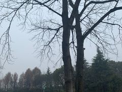 -上海怡沁园度假酒店