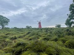 -同里国家湿地公园