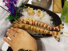-鲜入围煮花胶鸡海鲜火锅