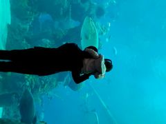 android_upload_pic-成都浩海立方海洋公园