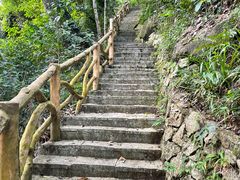 -海南热带雨林国家公园吊罗山景区
