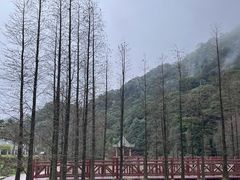 -广州市石门国家森林公园