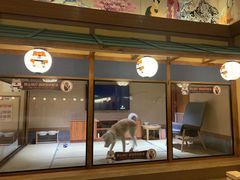 -大江户·温泉洗浴(浑南店)